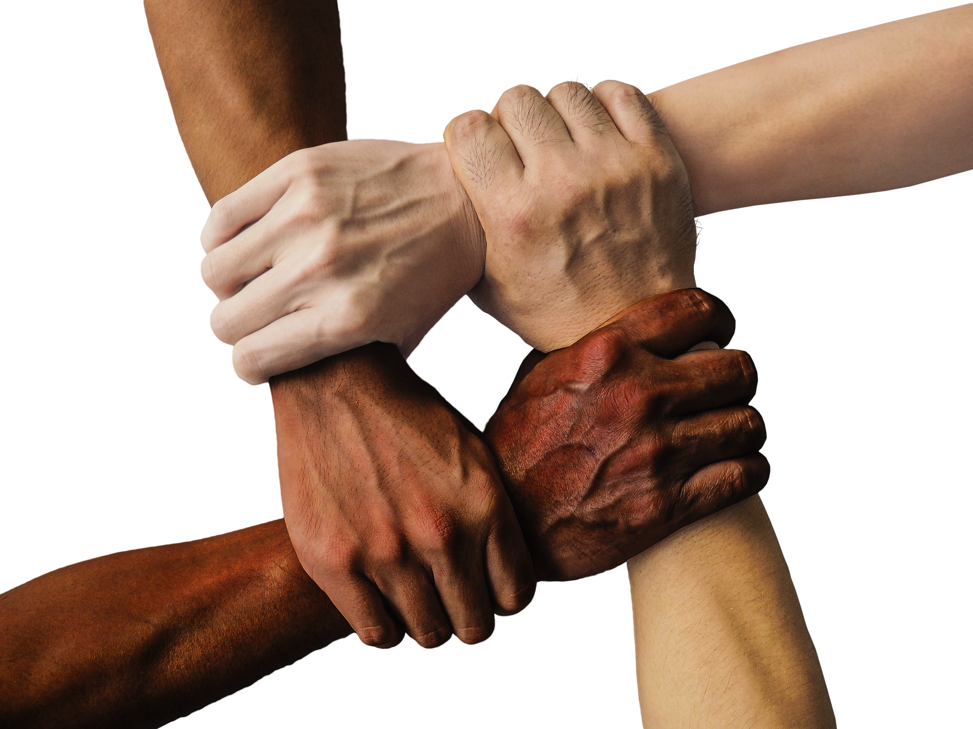 Team-Building: Wie es die Produktivität verbessern und Mobbing verhindern kann