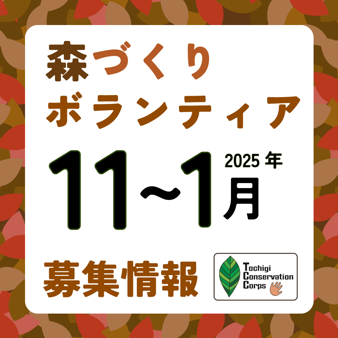 2024年11月～2025年1月ボランティア募集案内