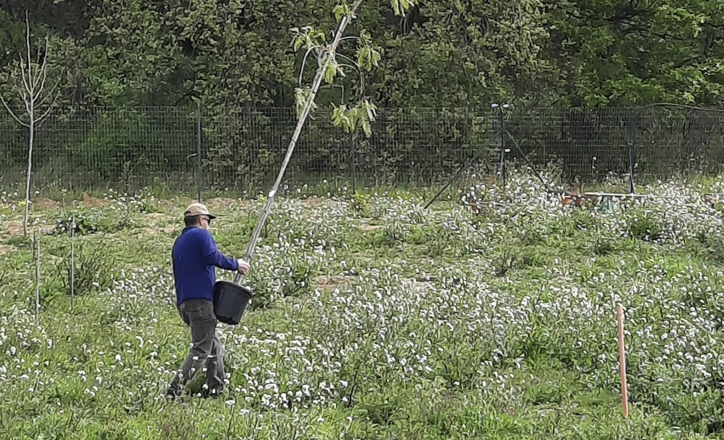 Update: Pflanze einen Baum