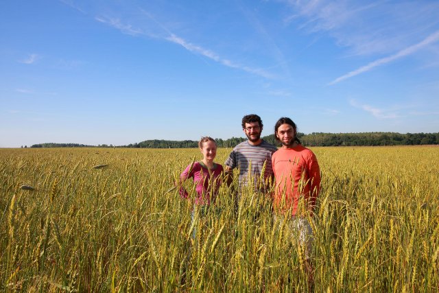 MARION, NICOLAS et CLEMENT les trois associés du GAEC Il était une ferme.