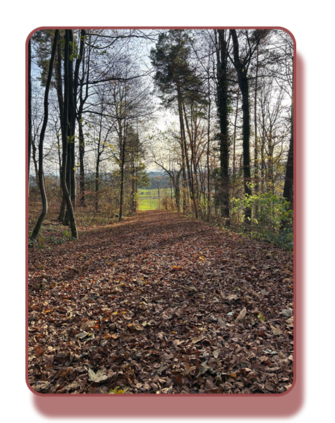 Lauftraining