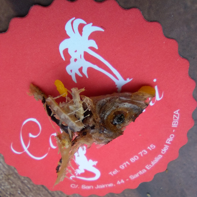 ... das war ganz schön lecker !!!