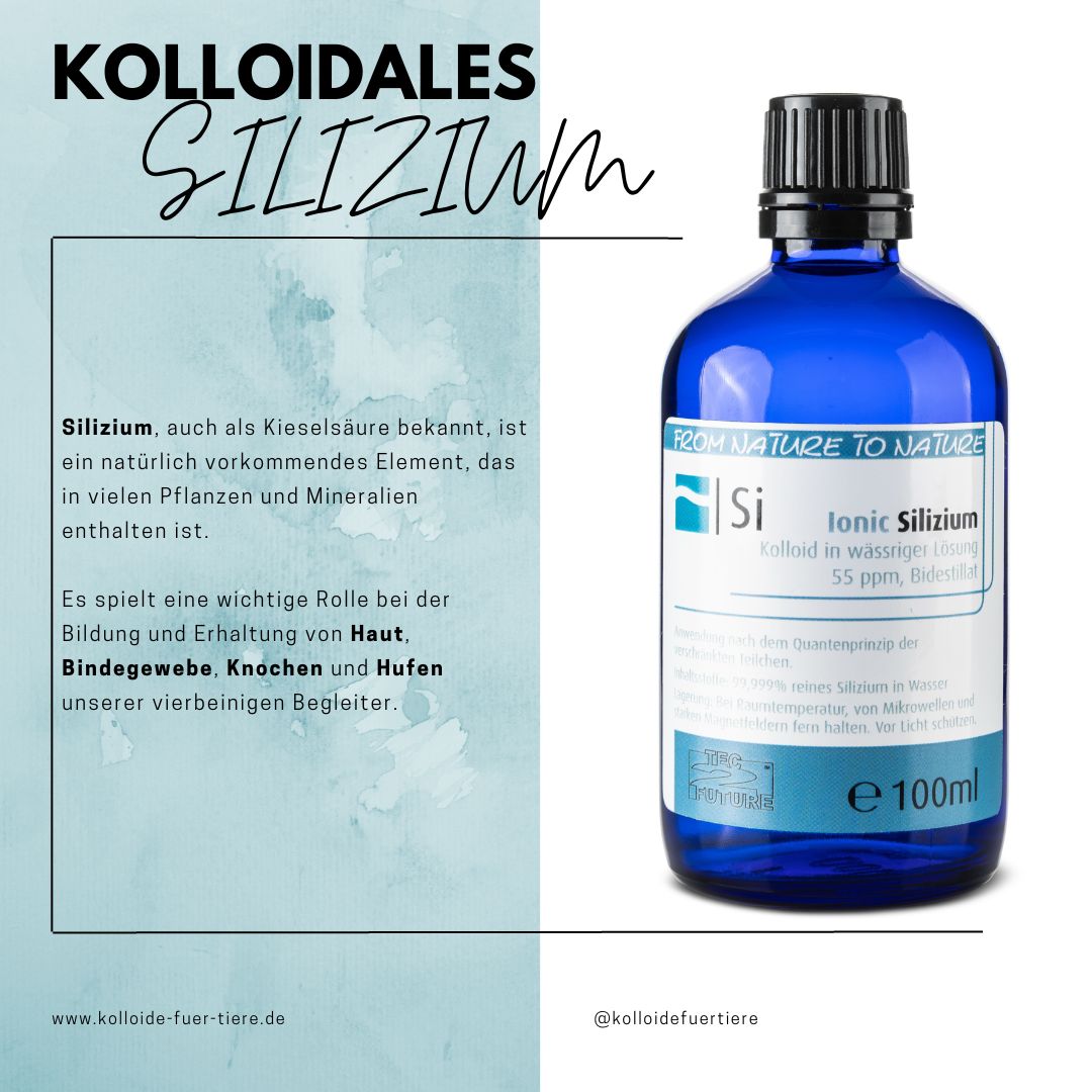Silizium