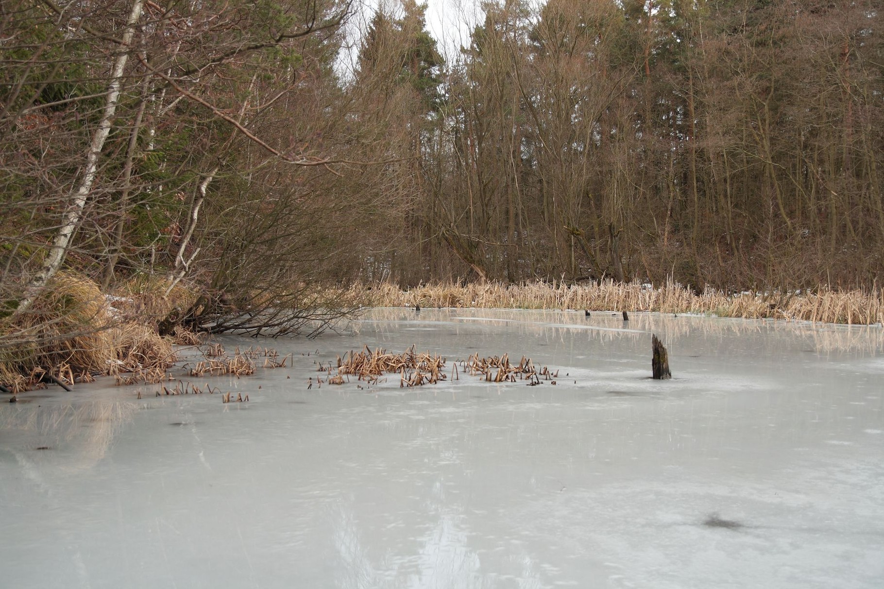 Januar 2016