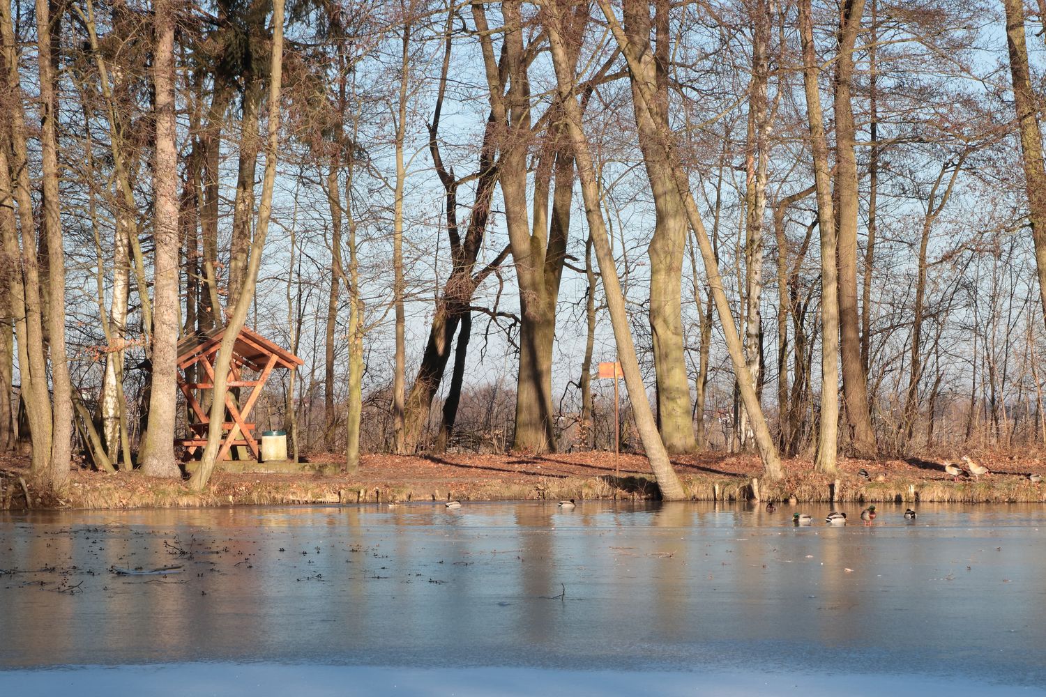 25.02.2018