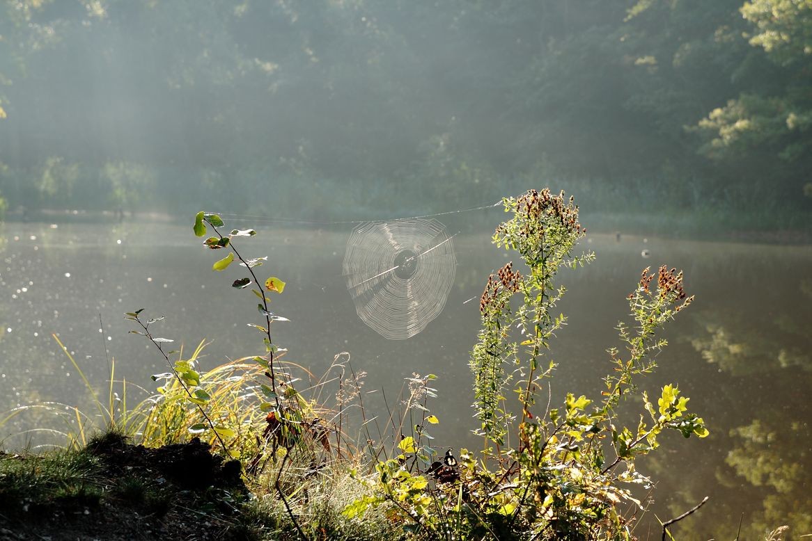 Oktober 2015