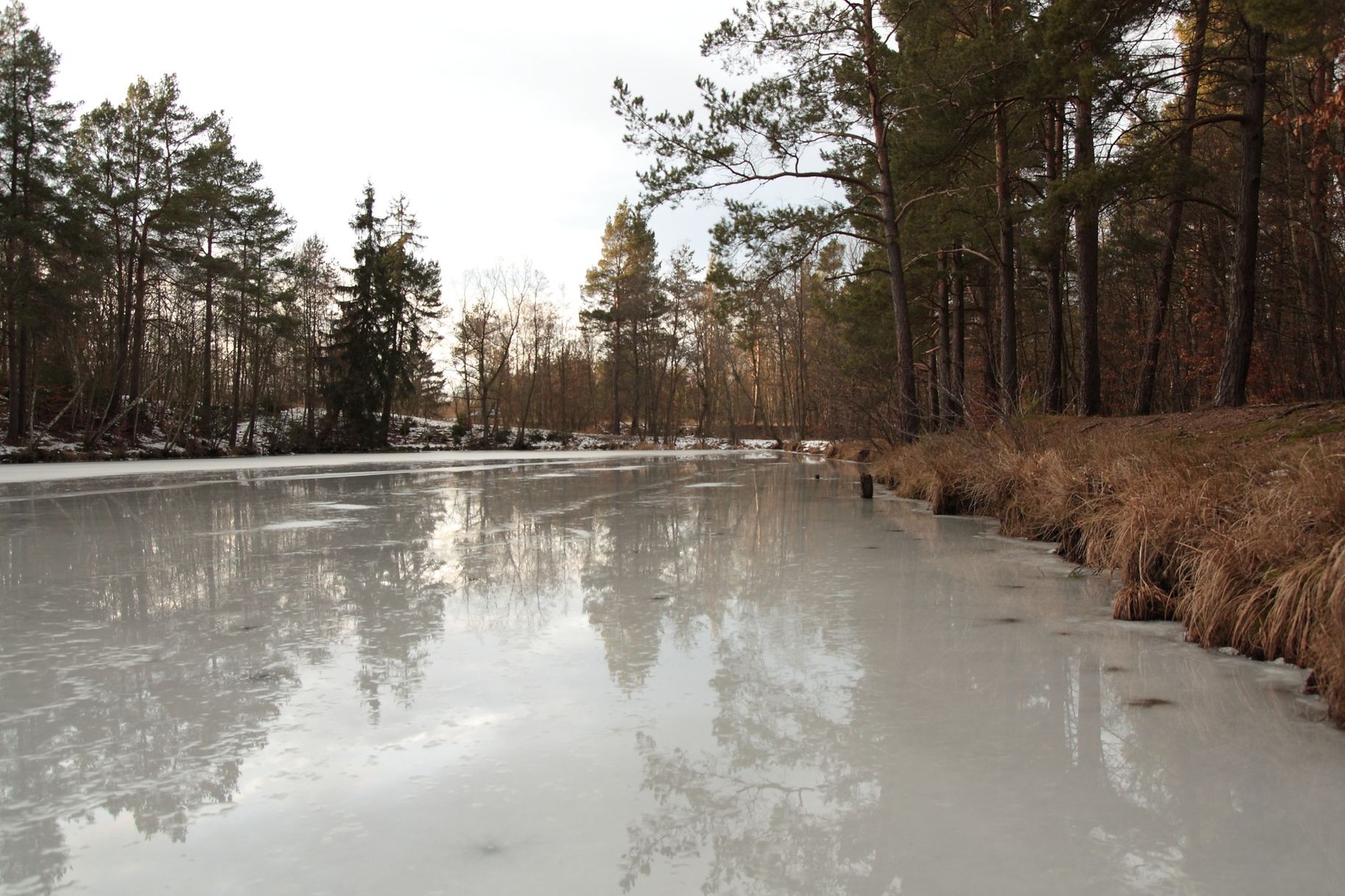 Januar 2016