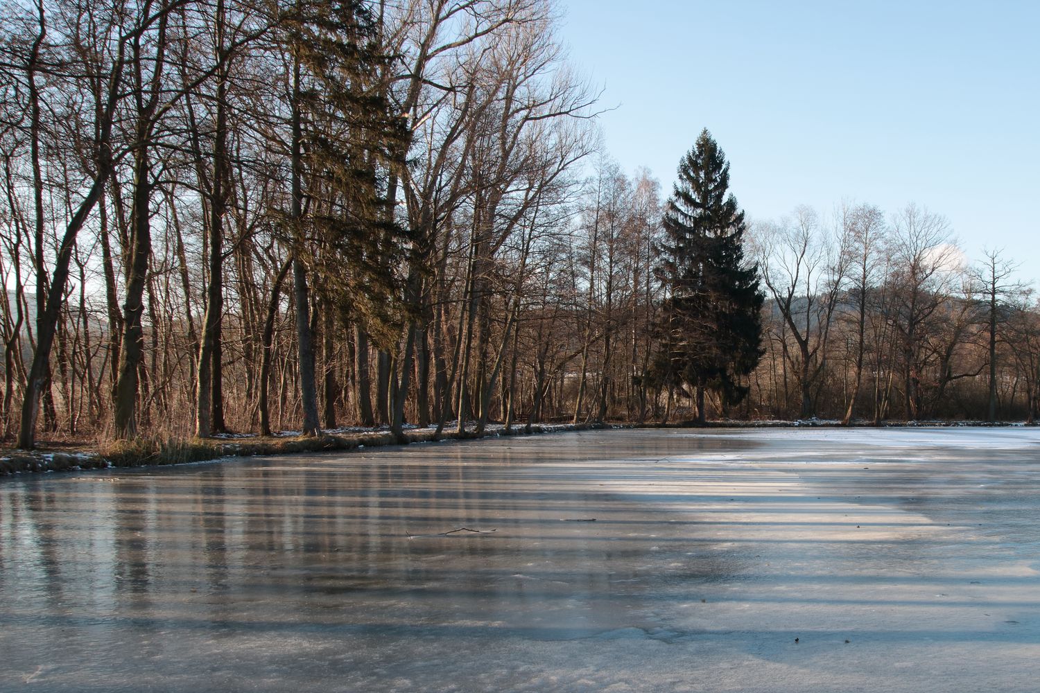 25.02.2018