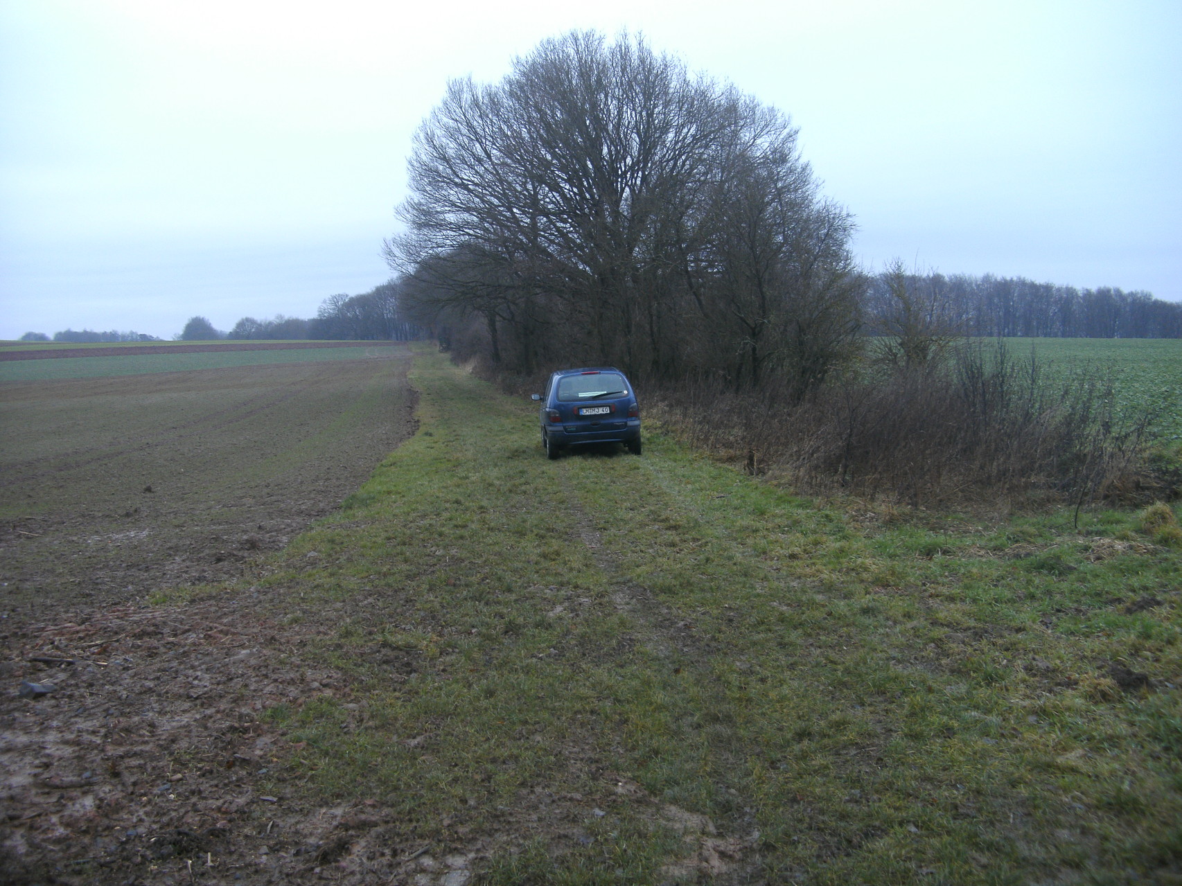 Auf der anderen Seite der Straße Niedertiefenbach - Schupbach wächt auf der Trasse eine dichte Hecken und Baumreihe