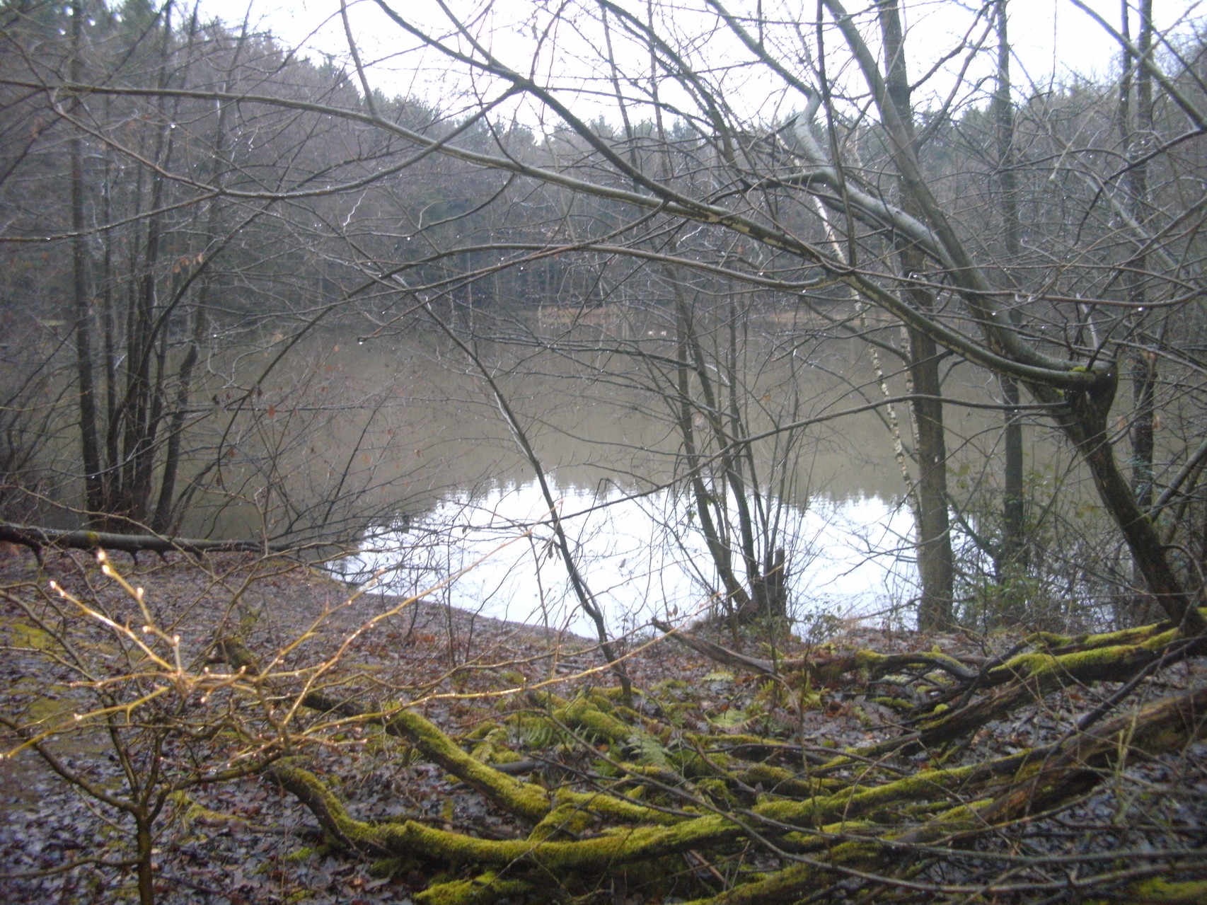 Aus der Tongrube entstand, auf der ehemaligen Trasse, ein See (ca 15m. tief) 