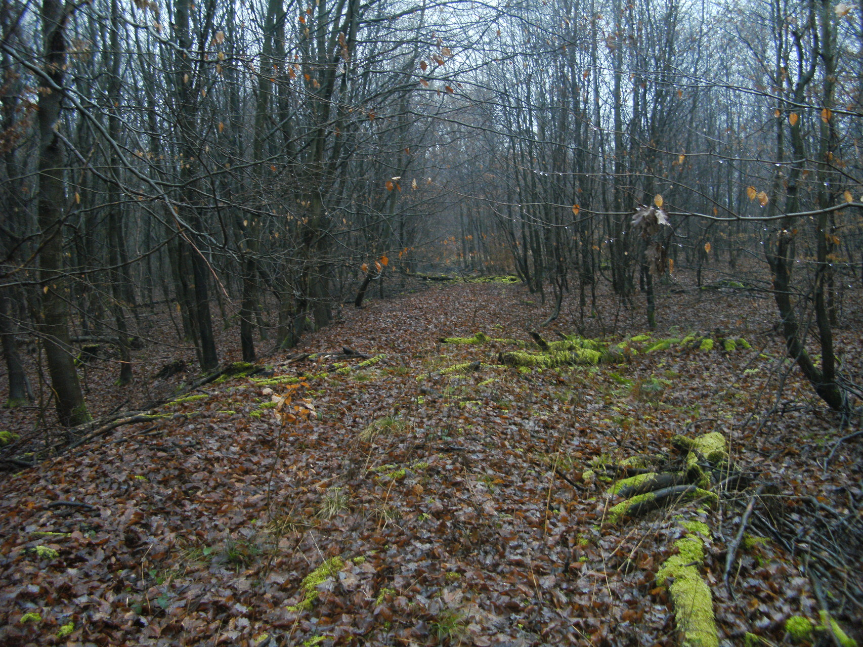 Ein Blick zurück