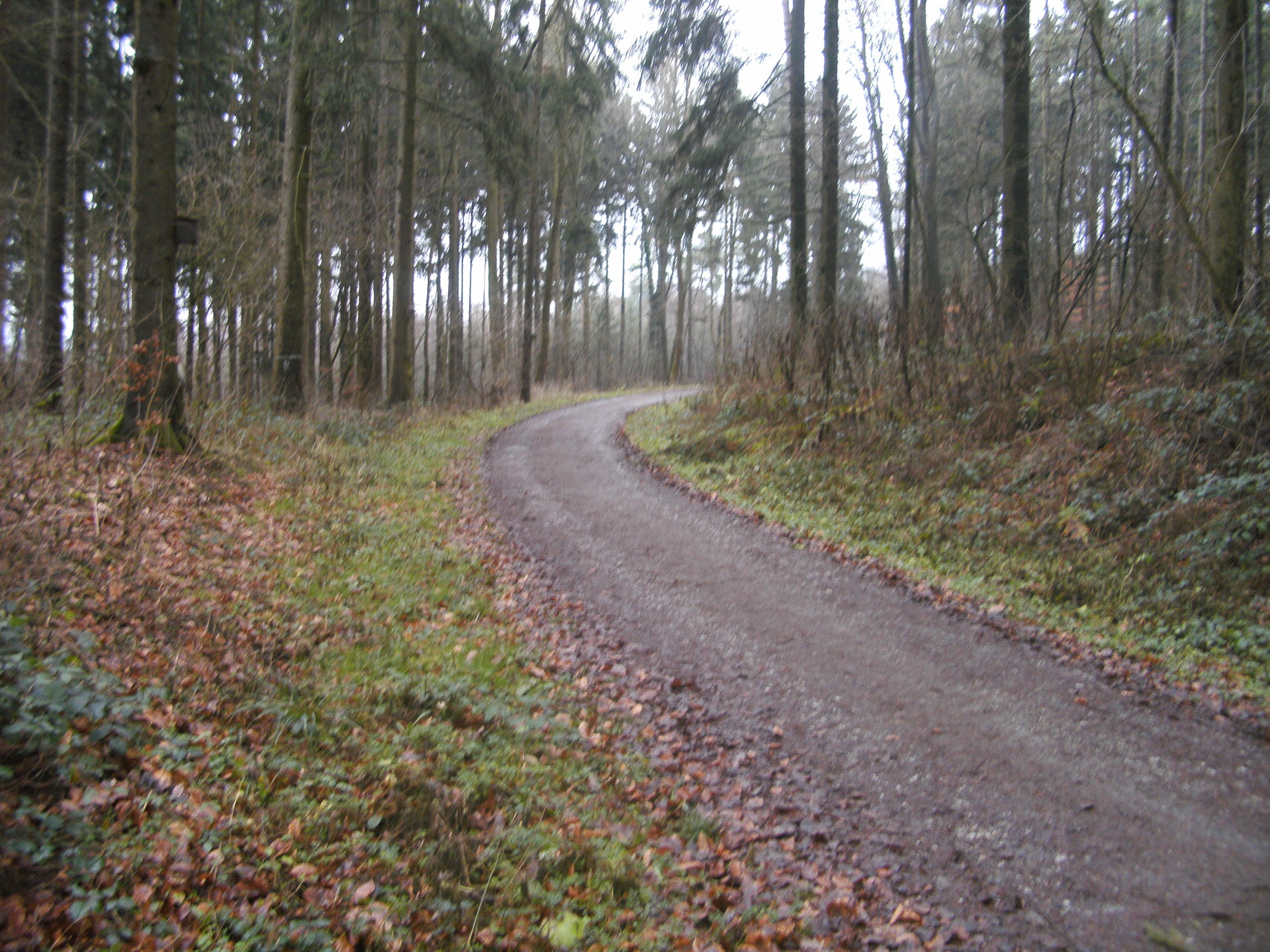 Die selbe Kurve im Blick zurück