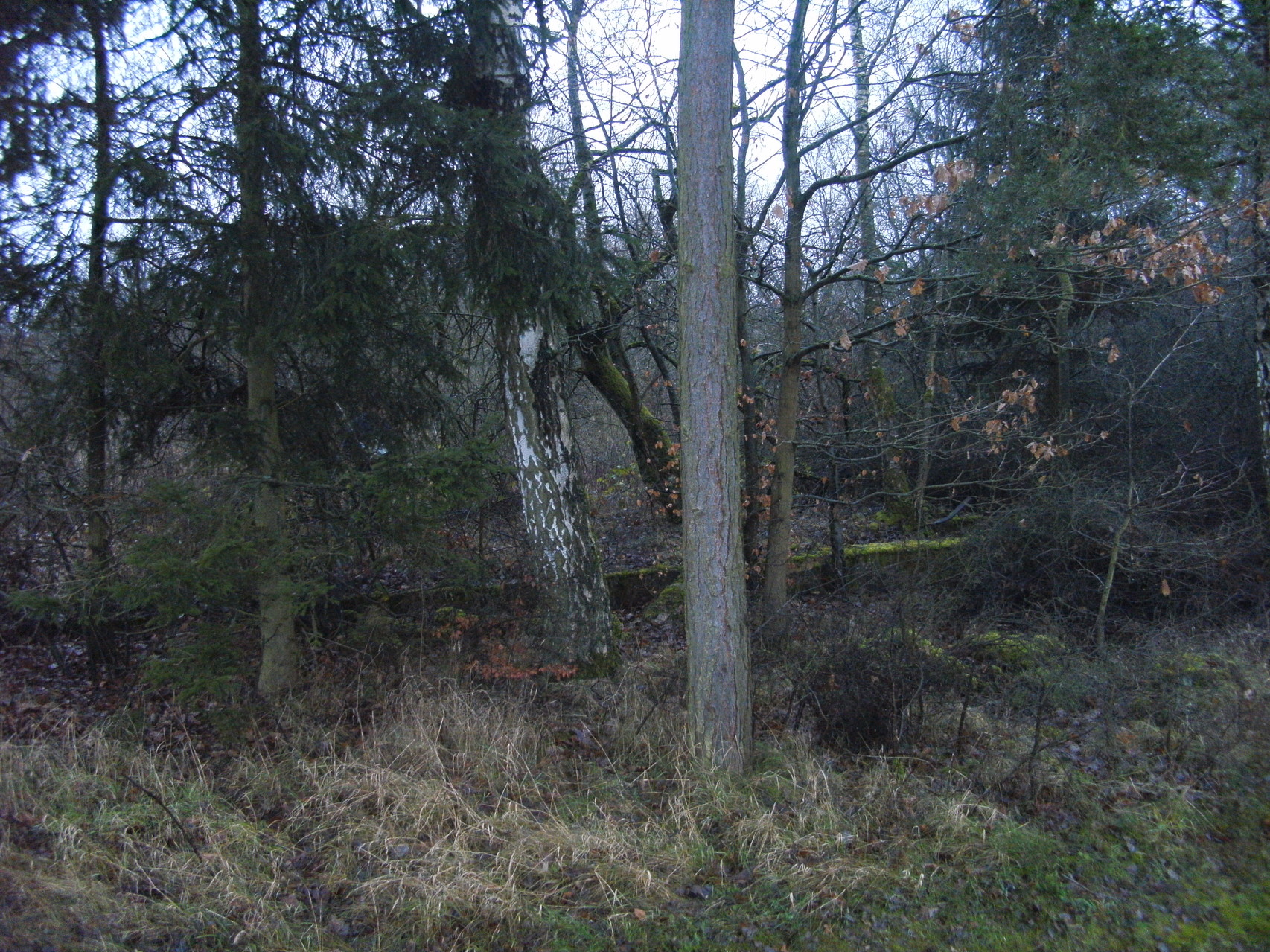 An der Straße Niedertiefenbach - Schupbach sieht man noch Grundmauern der Ton- Firma