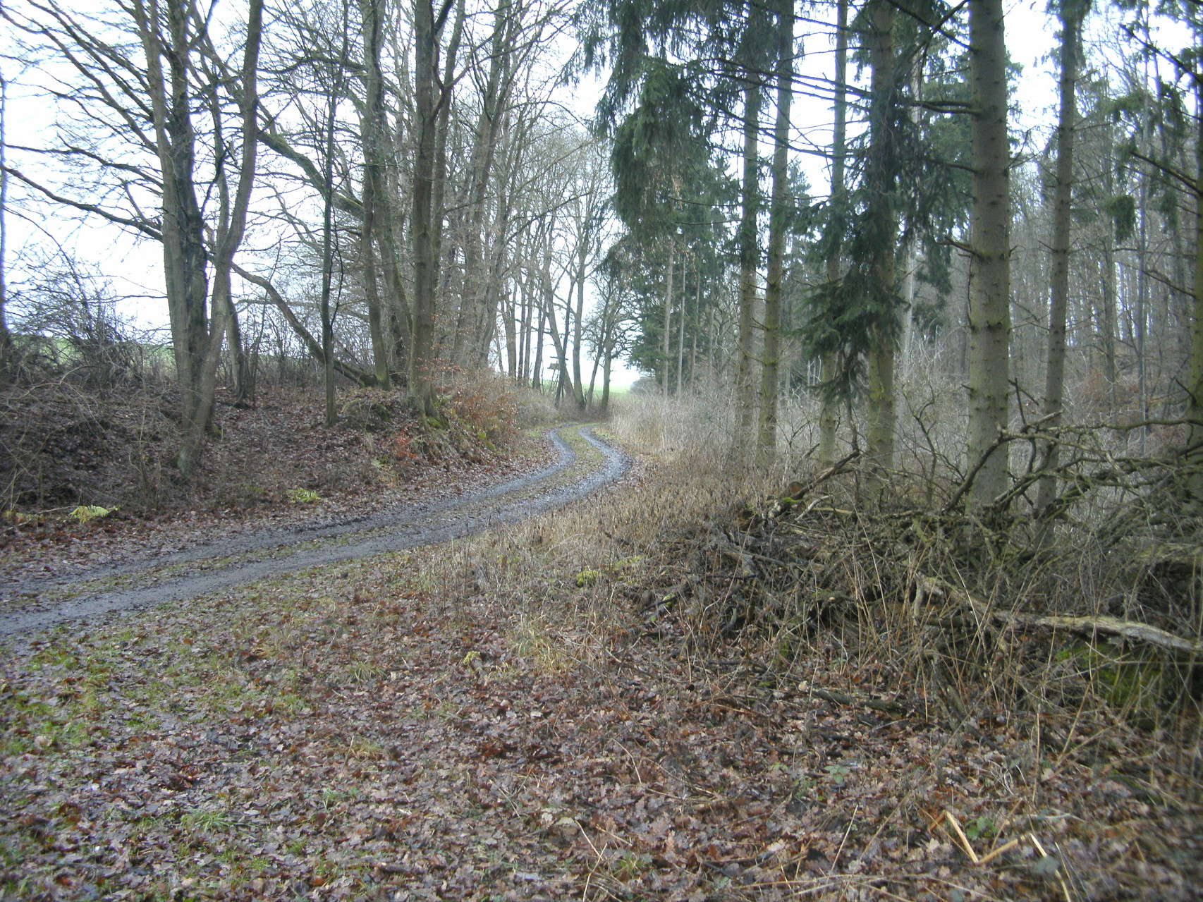 Nun Blick Richtung Beselicher Kopf: Die Trasse verlässt Straße nach Hofen, folgt den Taleinschnitt