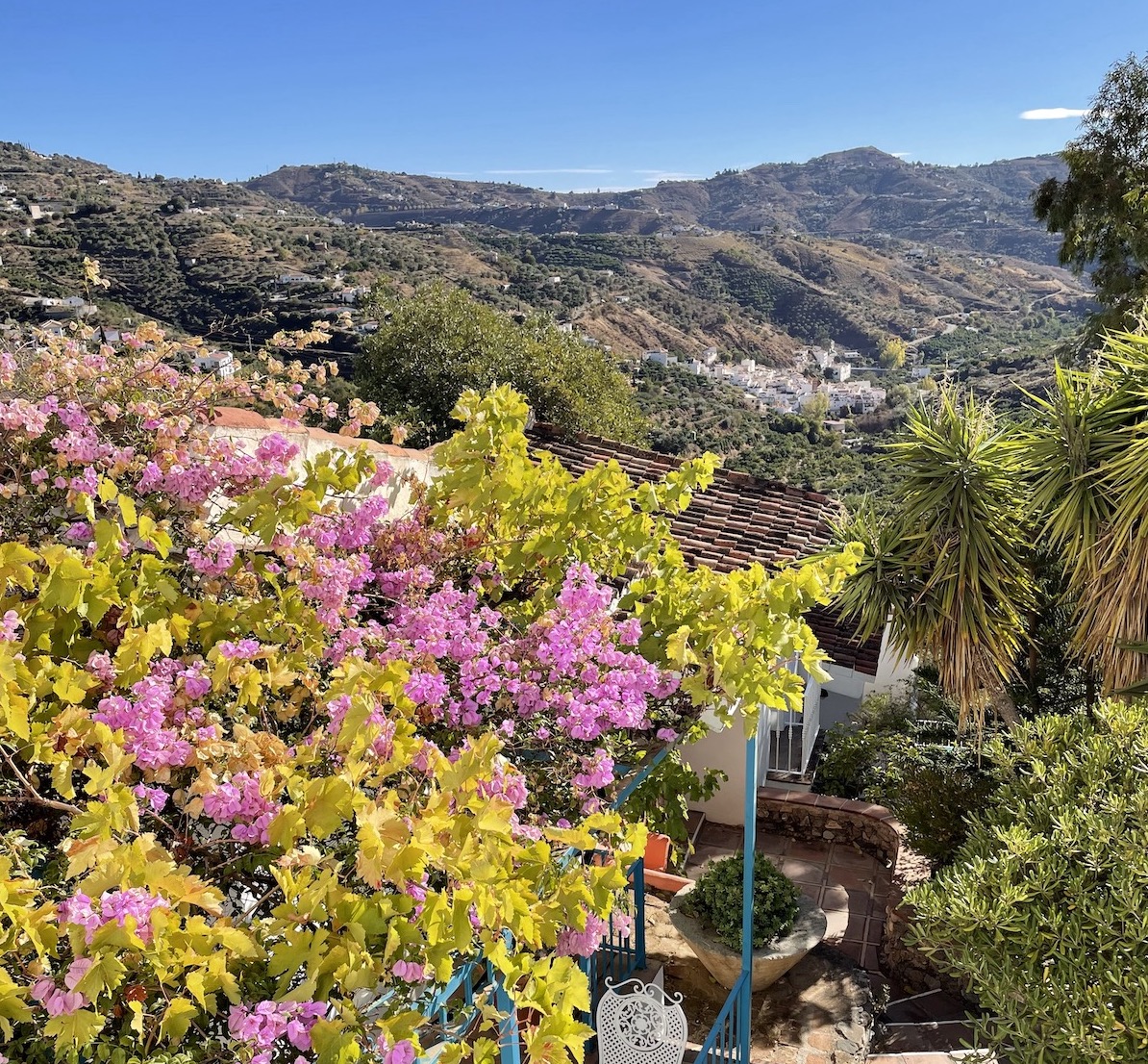 Painting holiday in Tuscany Pam Smart Art