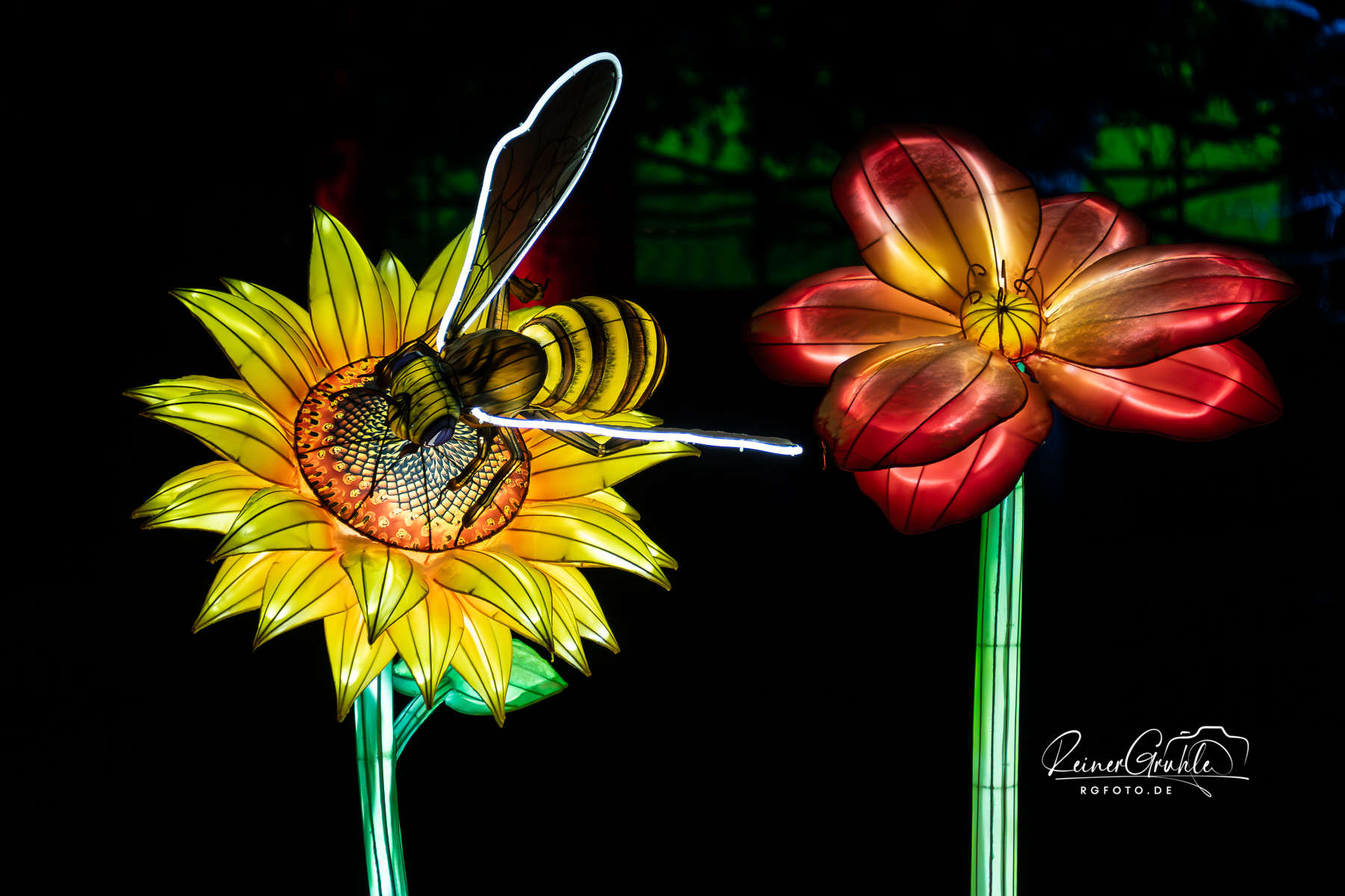 Winterlichter im Palmengarten