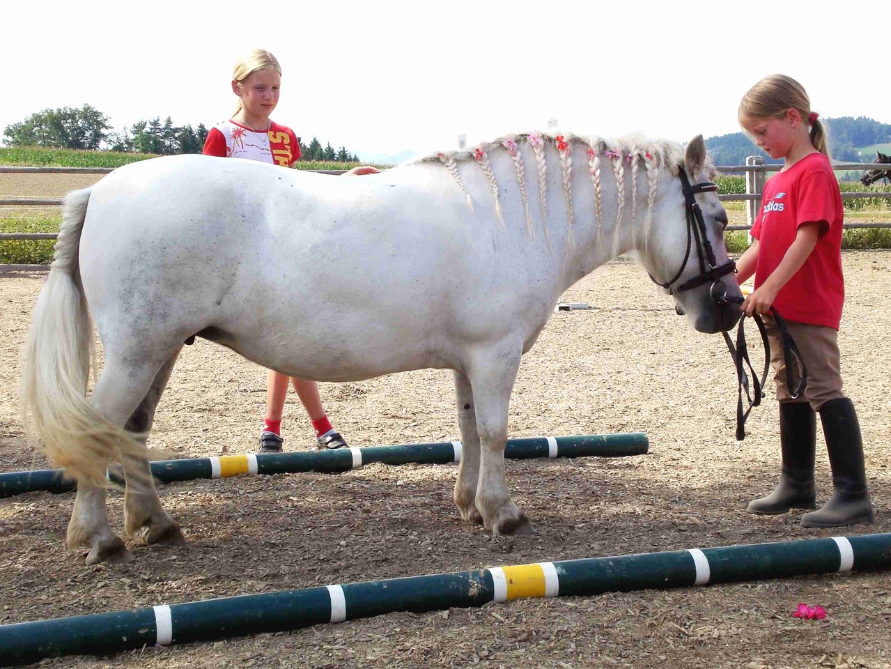 an der Hand vorstellen