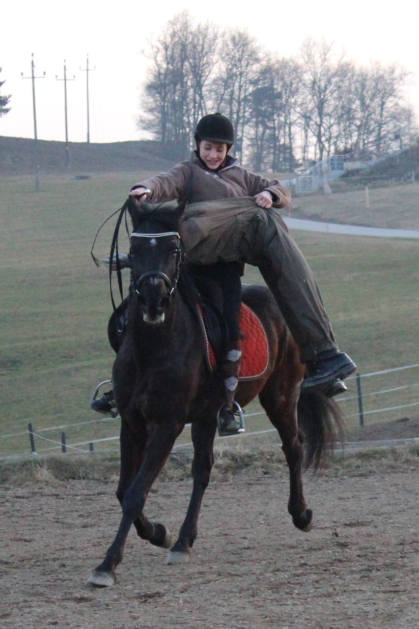 Training für den Theaterauftritt mit dem Pferd