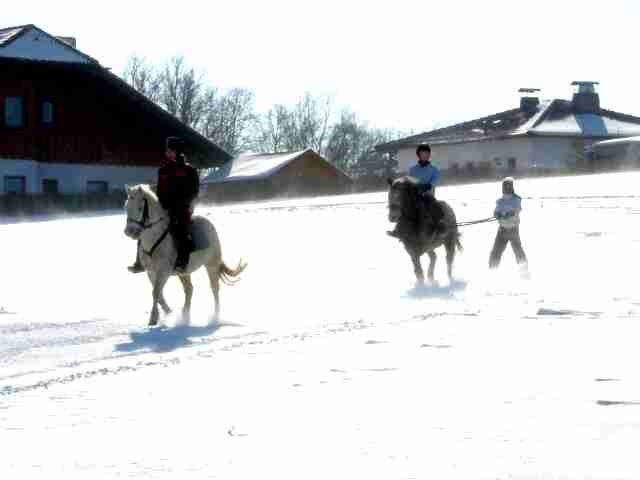 Spaß im Winter