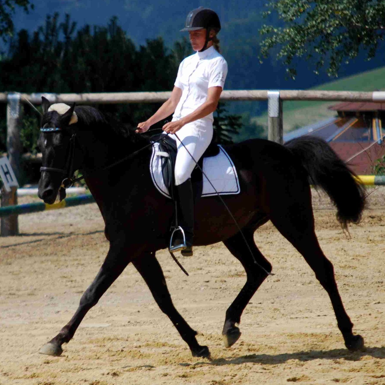 Sharkan und Verena beim Aufwärmen für ein Dressurturnier