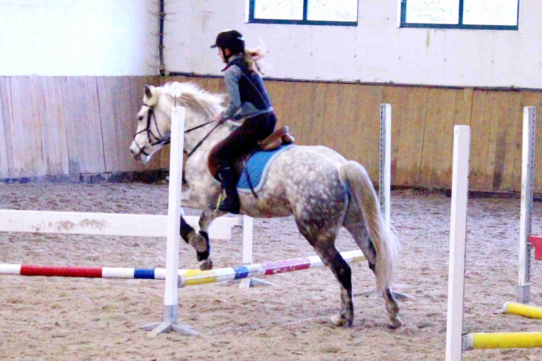 Ollie bei der Gymnastik