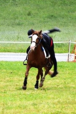 Aufsprung - Alpencup OÖ