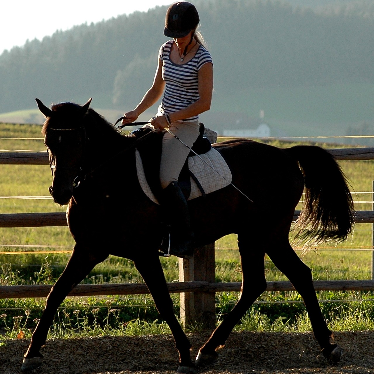 Sharkan und Verena beim Training am Ponyhof