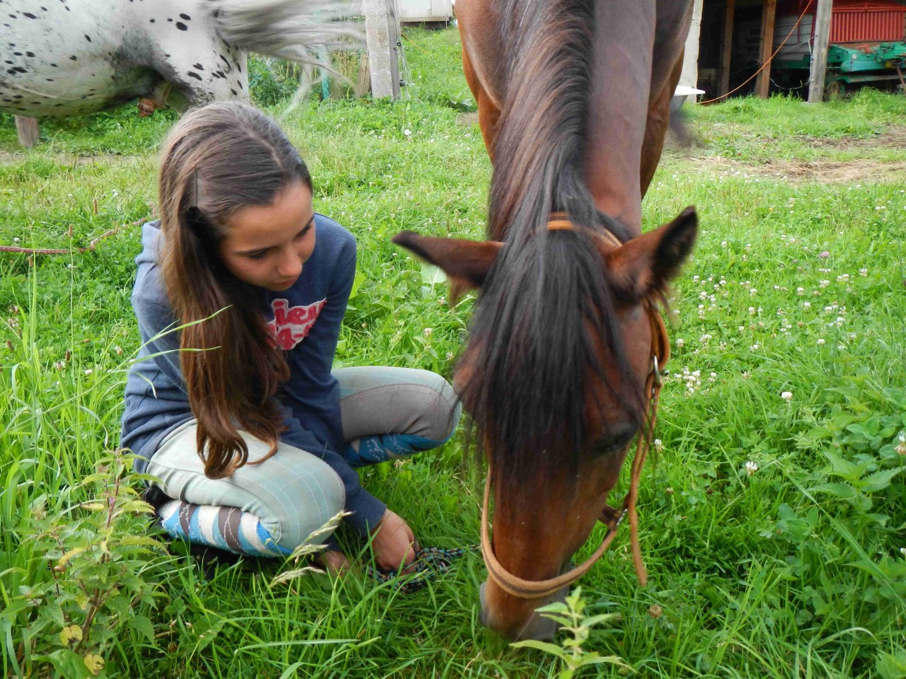 Grasen gehen mit Pony