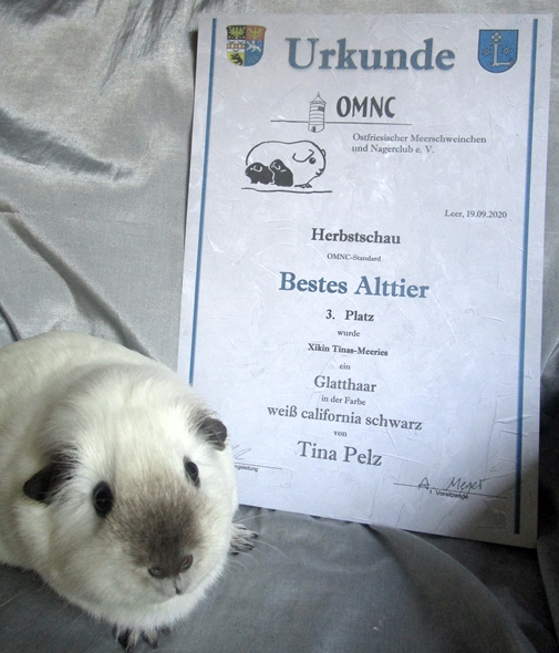 Xikin wurde 3.Bestes Alttier