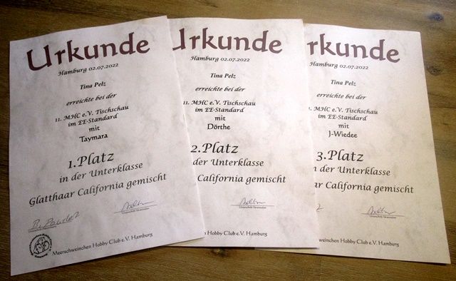 Die Unter Klassen