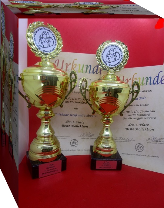 1.Platz beste Kollektion mit unseren GH in weiß cali schwarz. 2.Platz beste Kollektion mit den Rosetten.