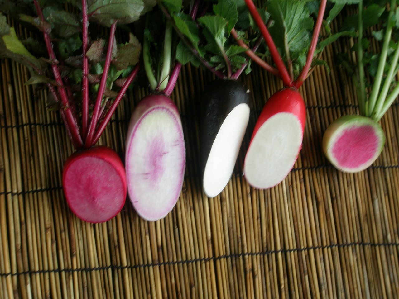 彩り大根真っ盛り サラダ有機野菜の西田農園