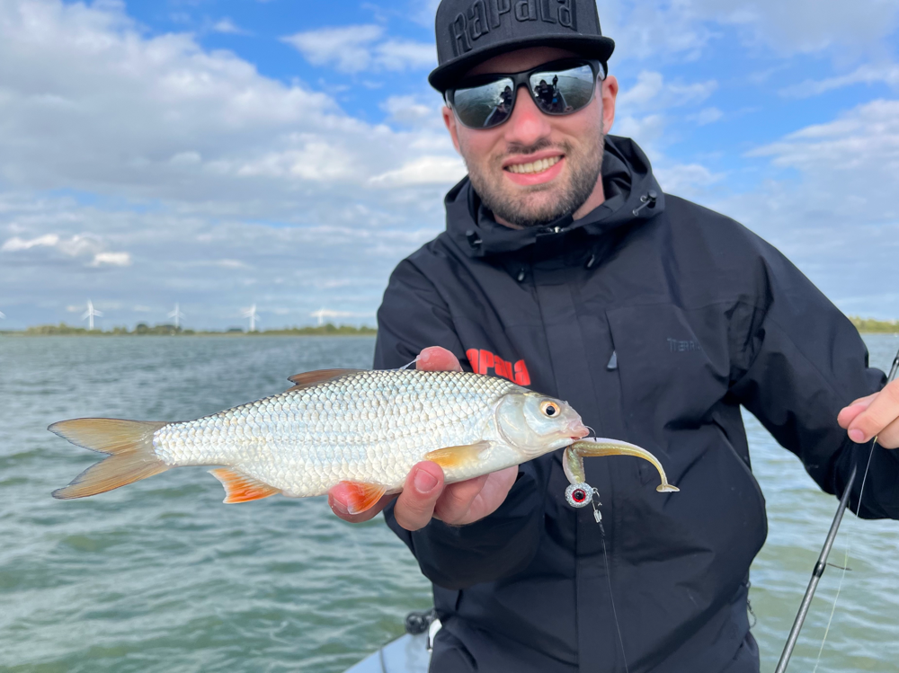 Johannes Höfner | Rotauge | Rutilus rutilus | ~25cm | Rhein-Schelde-Kanal | Niederlande | 13. September 2023