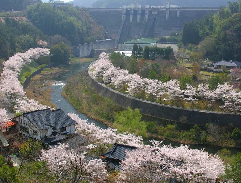 中津市日の出町商店街