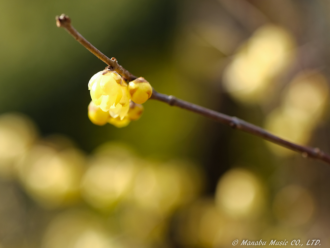 X-T2 XF90mm