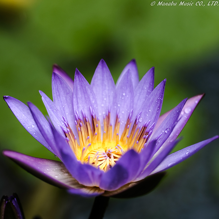 X-T2 XF90mm