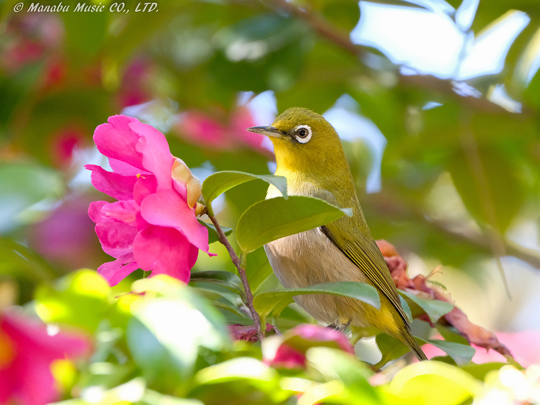 X-T2 XF100-400mm