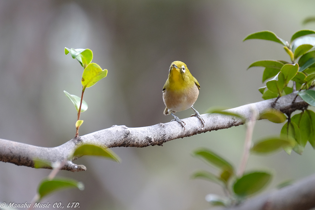 X-E2 XF100-400mm