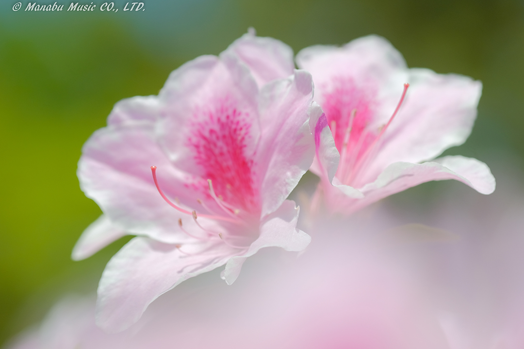 X-T2 XF90mm