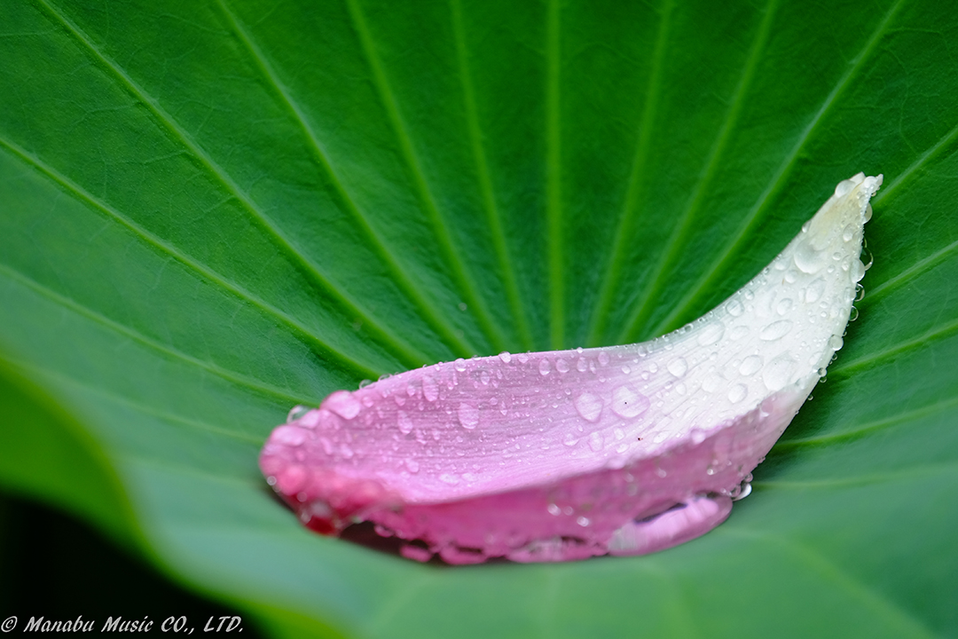 雨 X-E2 XF100-400mm