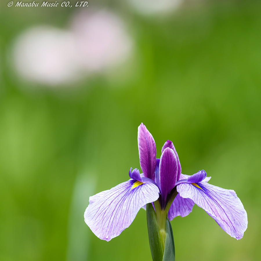 X-T2 XF100-400mm