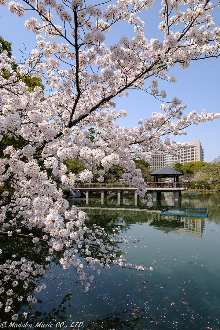 名古屋市鶴舞公園「竜が池」 X-T2 XF10-24mm