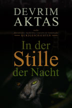 In der Stille der Nacht (Kurzgeschichtensammlung)