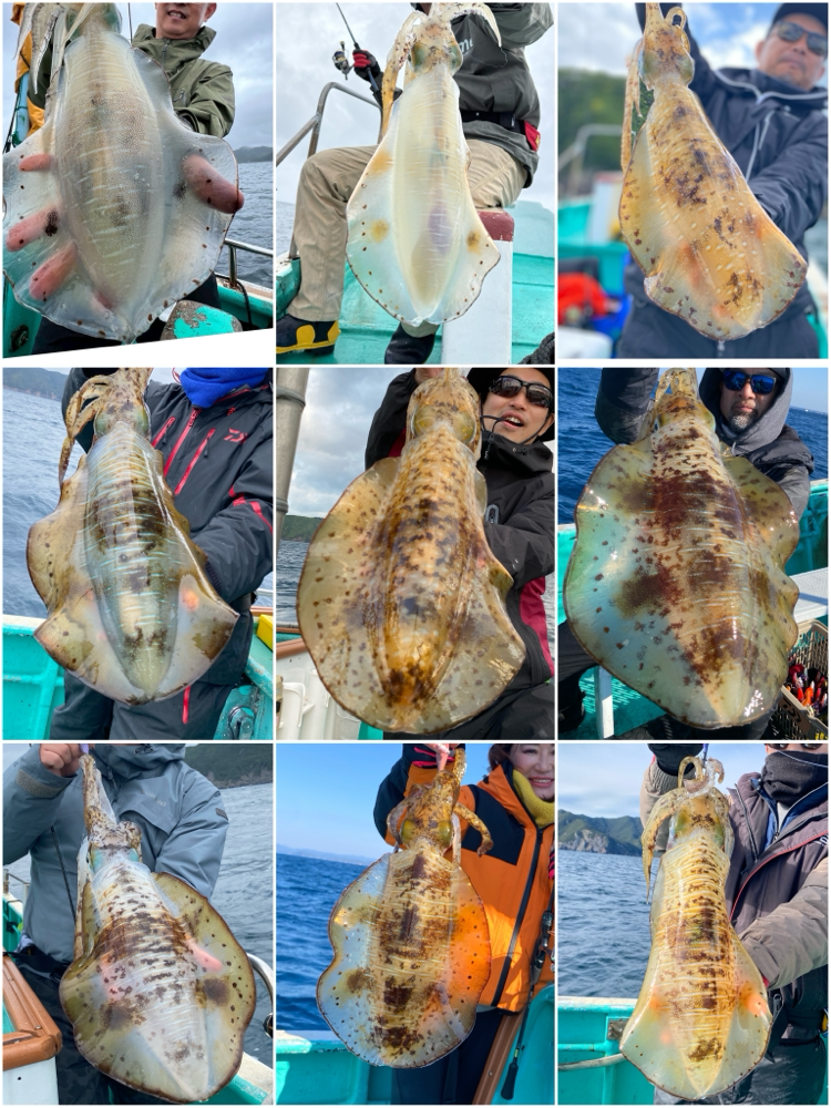 2025 - 光栄丸 公式ホームページ