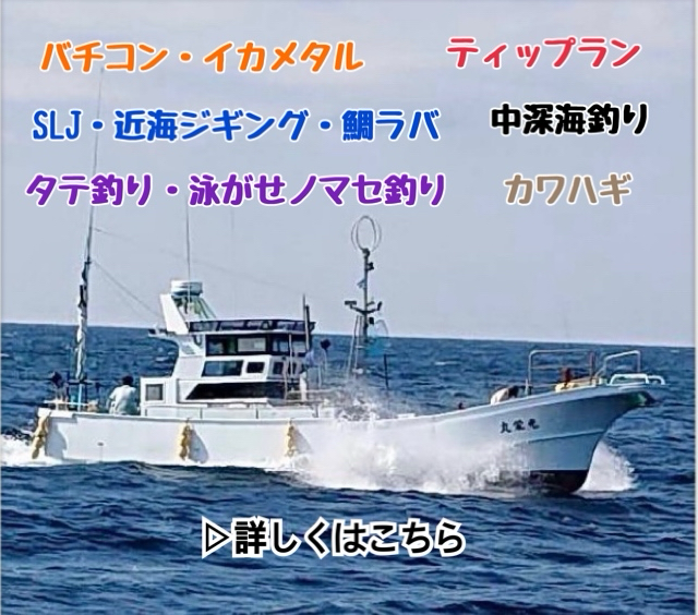 釣り船 鯛 将 釣り船 鯛 将