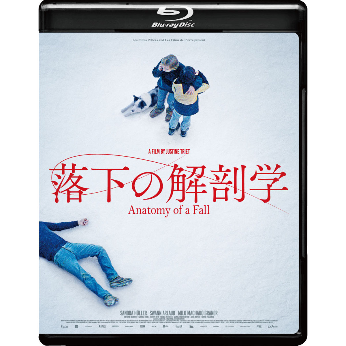 アカデミー賞脚本賞『落下の解剖学』Blu-rayが9月4日発売
