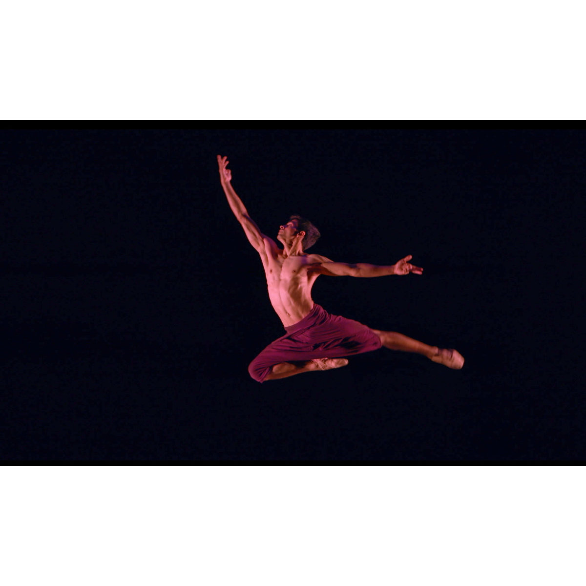 波乱に満ちたインド人バレエダンサーのドキュメンタリー『コール・ミー・ダンサー』