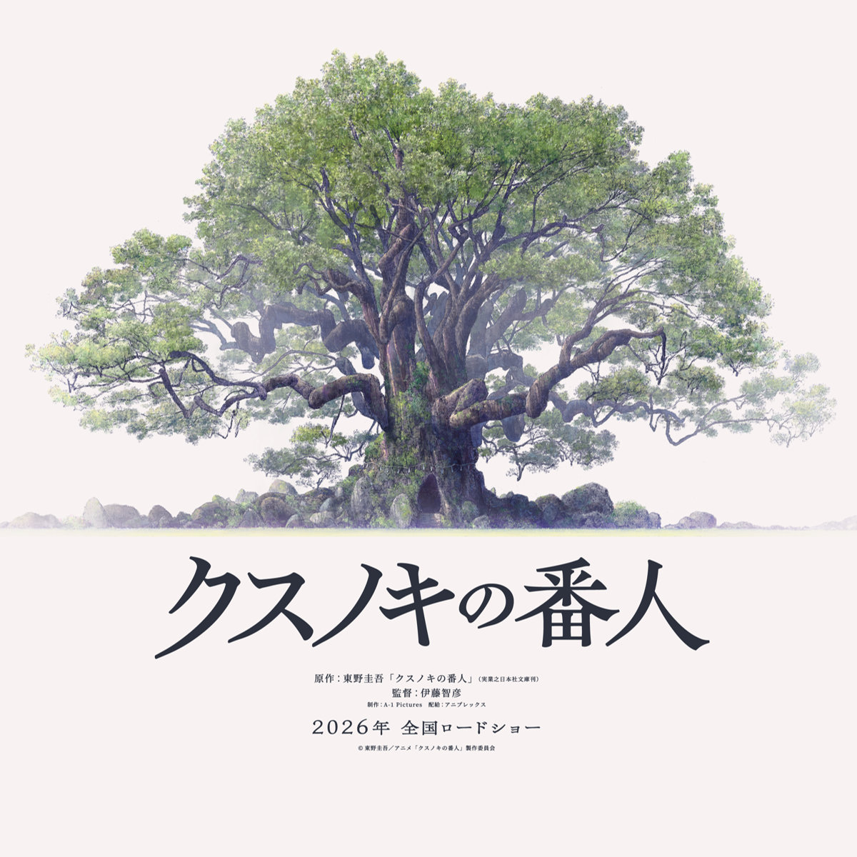 東野圭吾「クスノキの番人」が初アニメ化！2026年劇場公開