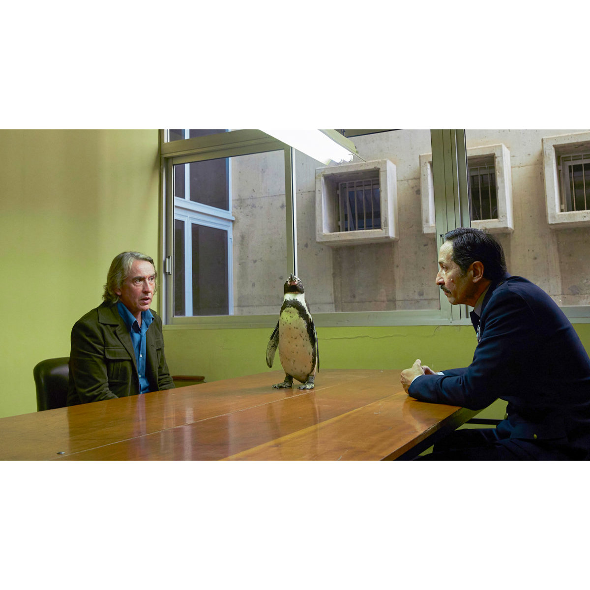 みんなホッコリ『ペンギン・レッスン』場面写真