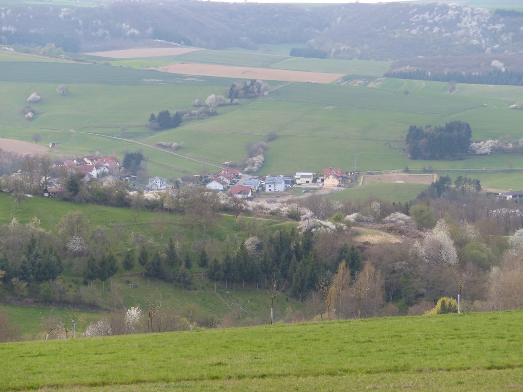 Blick auf den Ort von der Waldhütte aus